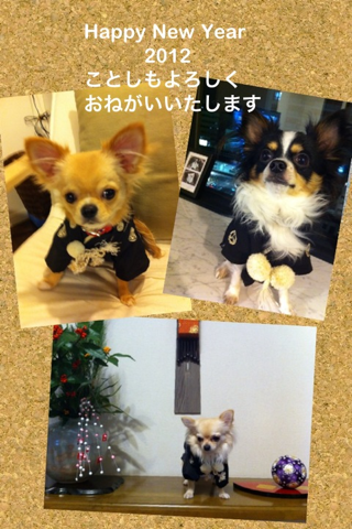 image-20120102011630.png