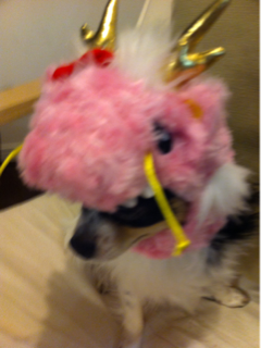 image-20120102032912.png