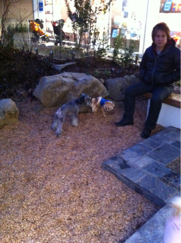 image-20120220023755.png